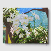 White Orchids Gästebuch (Rückseite)