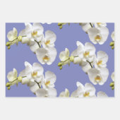 White Orchids Periwinkle Blue Lavender Geschenkpapier Set (Vorderseite 2)