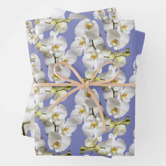 White Orchids Periwinkle Blue Lavender Geschenkpapier Set (Beispiel)