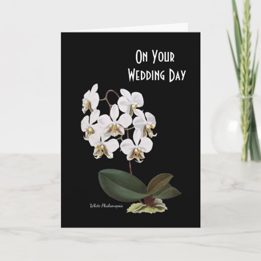 White Orchids Pierre-Joseph Redoute Karte (Vorderseite)