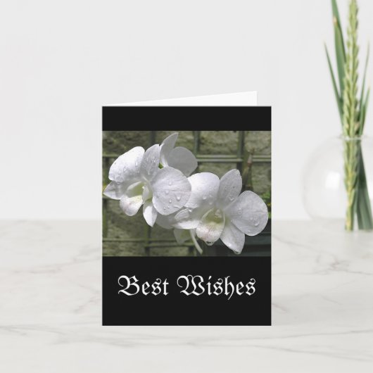 "WHITE ORCHIDS WITH RAINDROPS" (Foto) Karte (Vorderseite)
