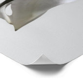 White Oriental Lilie Blume Poster (Ecke)