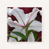 White Oriental Lily Bloom Floral Notizblock (Vorderseite)