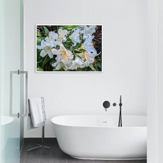 White Oriental Lily Blooms Blues Fotodruck