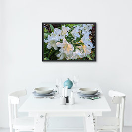 White Oriental Lily Blooms Blues Poster