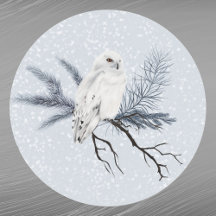 White Owl Pine Branch Wasserfarbe