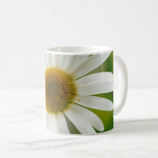 White Oxeye Daisy - Leucanthemum vulgare Kaffeetasse (VorderseiteRechts)