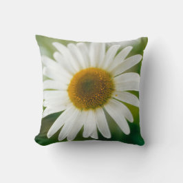 White Oxeye Daisy - Leucanthemum vulgare Kissen