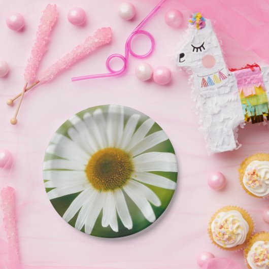 White Oxeye Daisy - Leucanthemum vulgare Pappteller (Party)