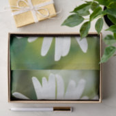 White Oxeye Daisy - Leucanthemum vulgare Seidenpapier (Geschenk)