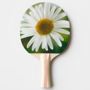 White Oxeye Daisy - Leucanthemum vulgare Tischtennis Schläger