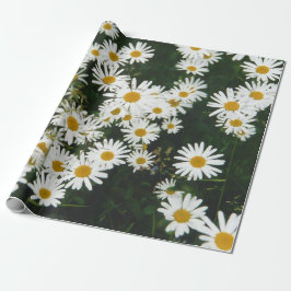 White Oxeye Daisy Meadow Geschenkpapier