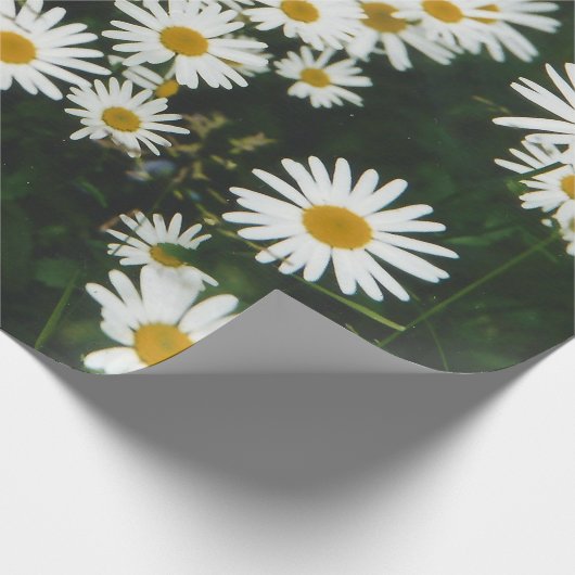 White Oxeye Daisy Meadow Geschenkpapier (Ecke)