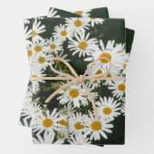 White Oxeye Daisy Meadow Geschenkpapier Set (Beispiel)