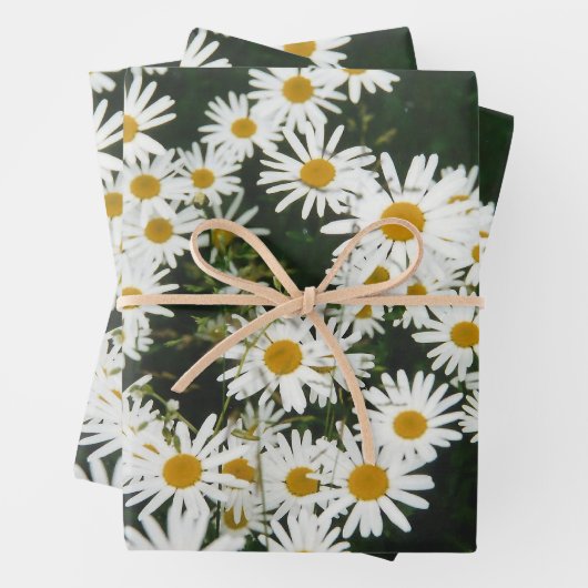 White Oxeye Daisy Meadow Geschenkpapier Set (Beispiel)