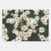 White Oxeye Daisy Meadow Geschenkpapier Set (Vorderseite)