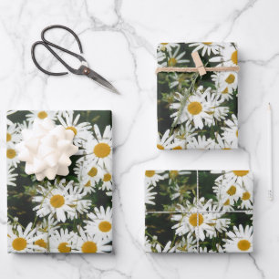 White Oxeye Daisy Meadow Geschenkpapier Set