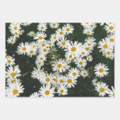 White Oxeye Daisy Meadow Geschenkpapier Set (Vorderseite)