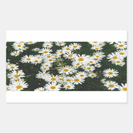 White Oxeye Daisy Meadow Rechteckiger Aufkleber