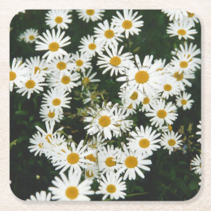 White Oxeye Daisy Meadow Rechteckiger Pappuntersetzer