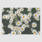 White Oxeye Daisy Meadow Seidenpapier (Vorderseite)
