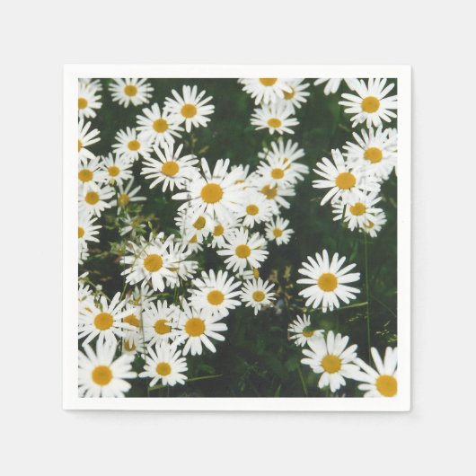 White Oxeye Daisy Meadow Serviette (Vorderseite)