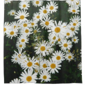 White Oxeye Daisy, Moon Daisy Meadow Duschvorhang (Vorderseite)