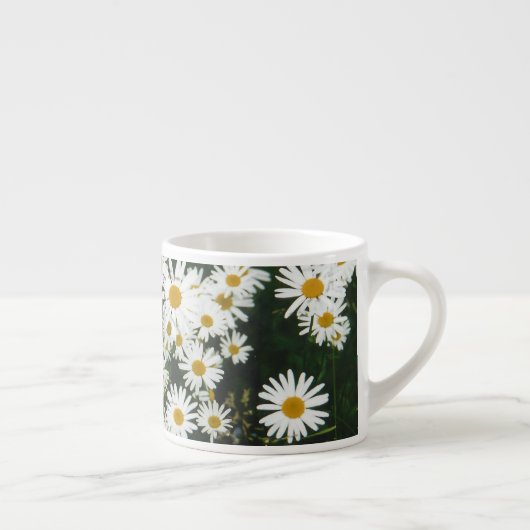 White Oxeye Daisy, Moon Daisy Meadow Espressotasse (Rechts)