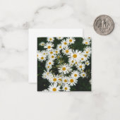 White Oxeye Daisy, Moon Daisy Meadow Mitteilungskarte (Vorderseite/Rückseite Beispiel)