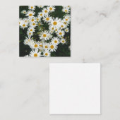 White Oxeye Daisy, Moon Daisy Meadow Mitteilungskarte (Vorne/Hinten)