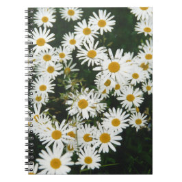 White Oxeye Daisy, Moon Daisy Meadow Notizblock