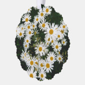 White Oxeye Daisy, Moon Daisy Meadow Ornament Karte (Links)