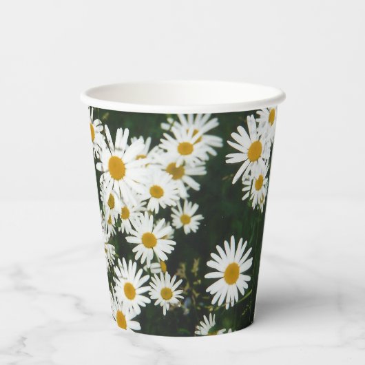 White Oxeye Daisy, Moon Daisy Meadow Pappbecher (Rückseite)