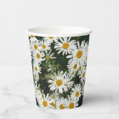 White Oxeye Daisy, Moon Daisy Meadow Pappbecher (Links)