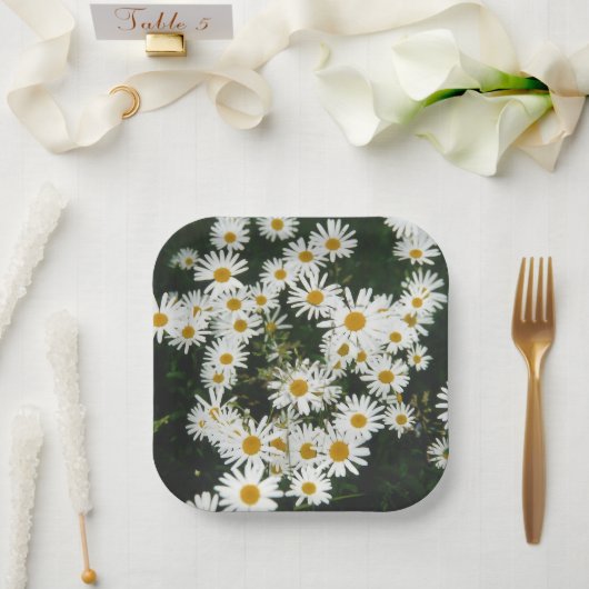 White Oxeye Daisy, Moon Daisy Meadow Pappteller (Hochzeit)
