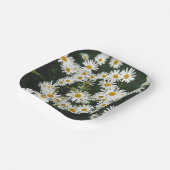 White Oxeye Daisy, Moon Daisy Meadow Pappteller (Gewinkelt)