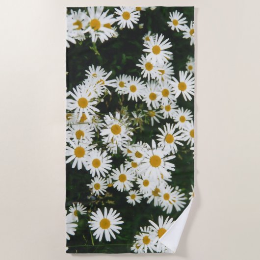White Oxeye Daisy, Moon Daisy Meadow Strandtuch (Vorderseite)