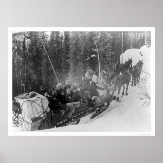 White Pass Alaska Sled Train 1903 Poster (Vorne)