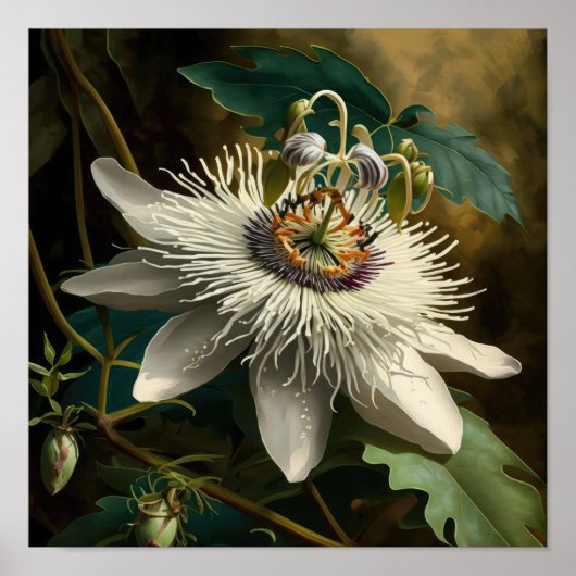 White Passion Blume Art Print Poster (Vorne)