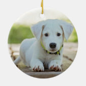 White Paw Print Rose Gold Dog Foto Name Jahr Keramik Ornament (Hinten)