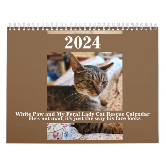 White Paw und My Feral Lady 2024 Kalender (Titelbild)