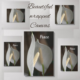 White Peace Lily Floral Elegante Fotografie Leinwanddruck