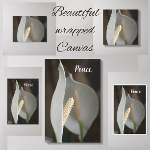 White Peace Lily Floral Elegante Fotografie Leinwanddruck