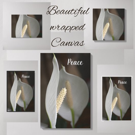 White Peace Lily Floral Elegante Fotografie Leinwanddruck