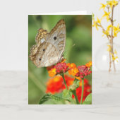 White Peacock Butterfly Blank Note Card Karte (Gelbe Blume)