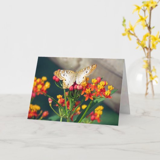 White Peacock Butterfly Grußkarte Karte (Gelbe Blume)