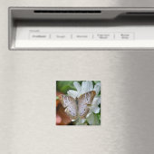 White Peacock Butterfly Magnet (In Situ (Geschirrspüler))