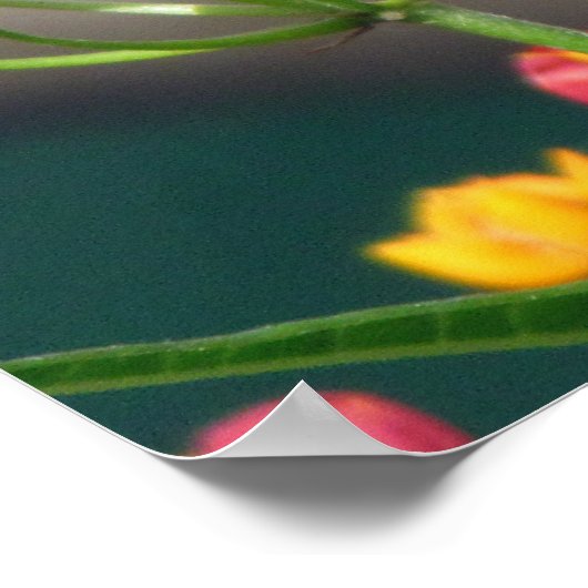 White Peacock Butterfly Quote Poster (Ecke)