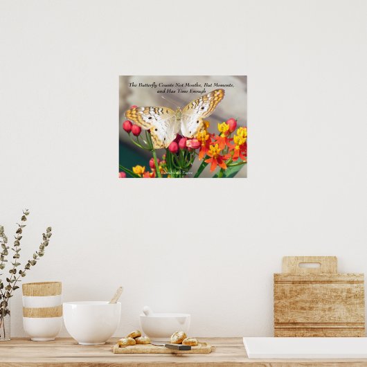 White Peacock Butterfly Quote Poster (Küche)