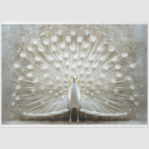 White Peacock Feathers ungezaubert Decoupage Seidenpapier